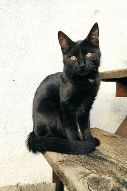 Pohodinda
