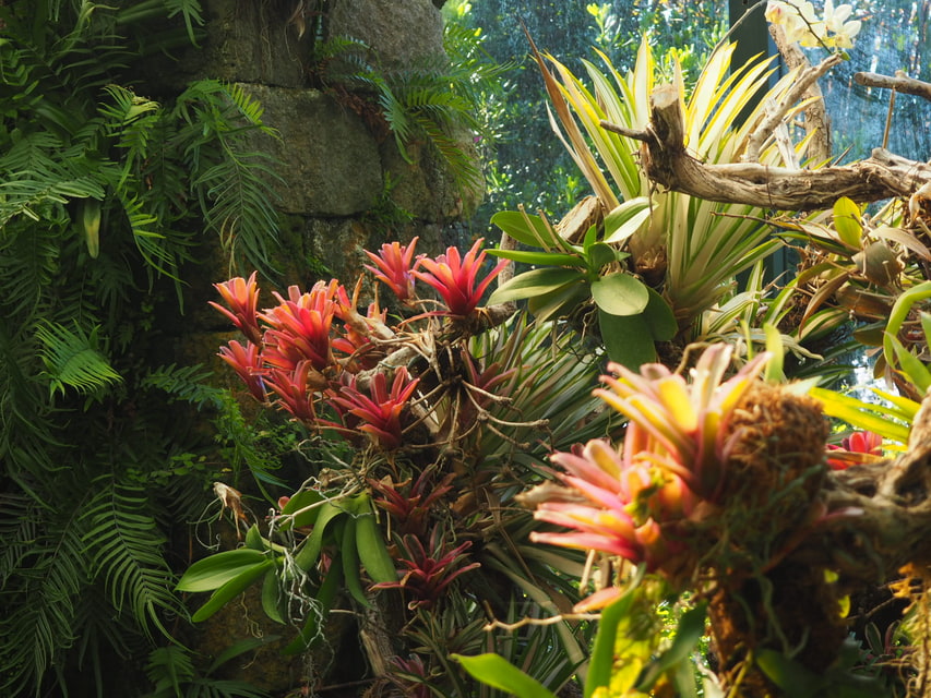 Botanická zahrada 