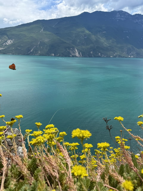 Lago di Garda