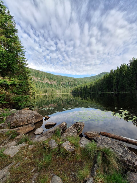 Šumava 