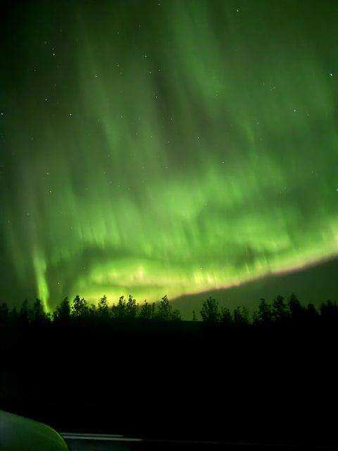 Polarni zare