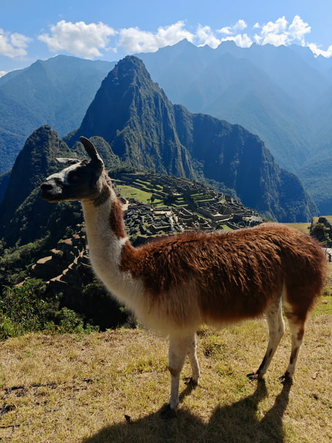 Modelka na Machu Picchu