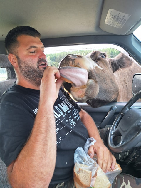 Safari u kolegy