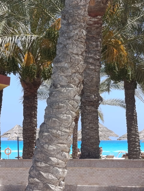 Marsa Matrouh - egyptský Karibik