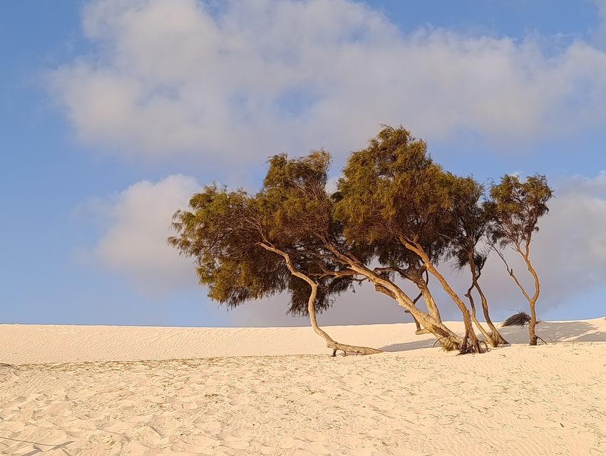 Marsa Matrouh - egyptský Karibik