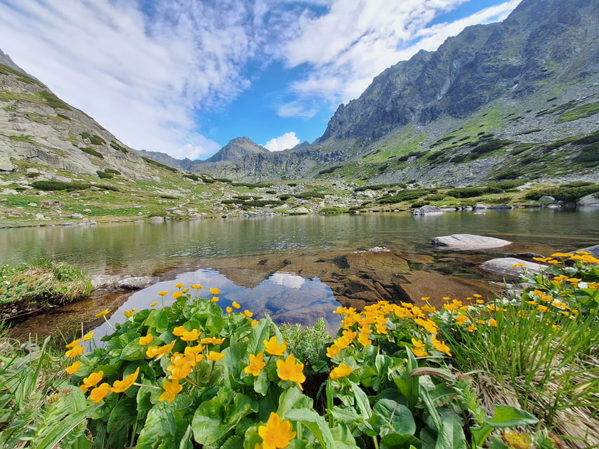 Pleso