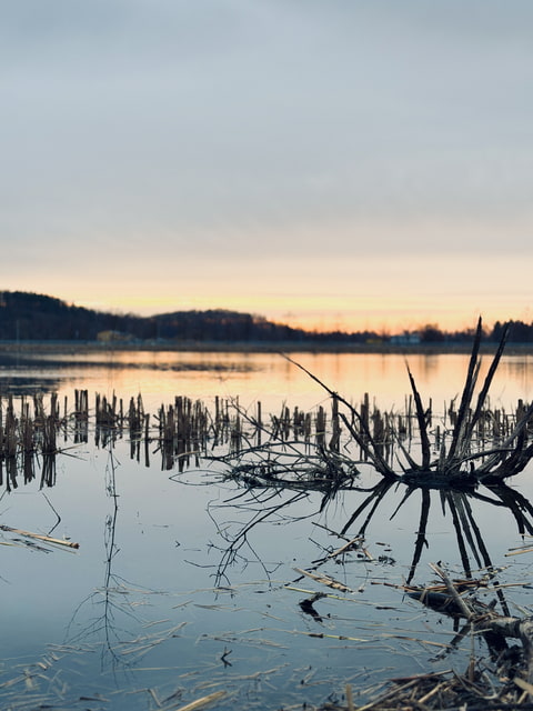 Ráno nad hladinou