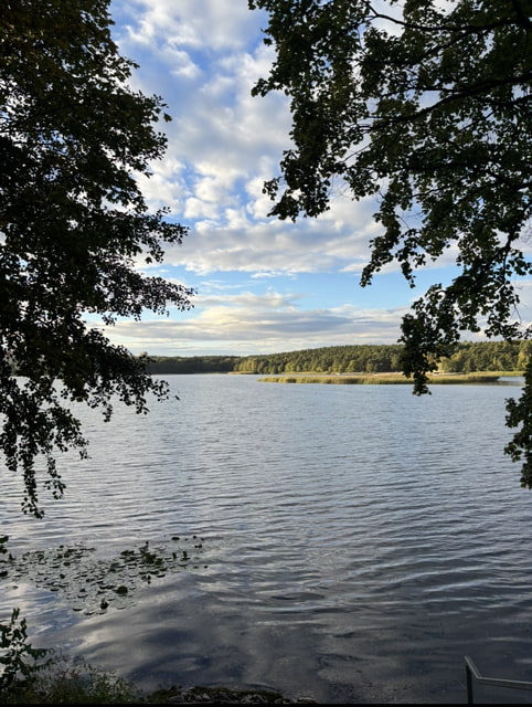 letní rybník