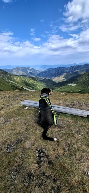 Tatry