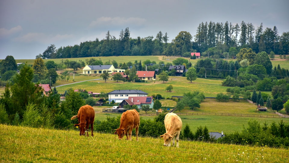 Valašská pastvina